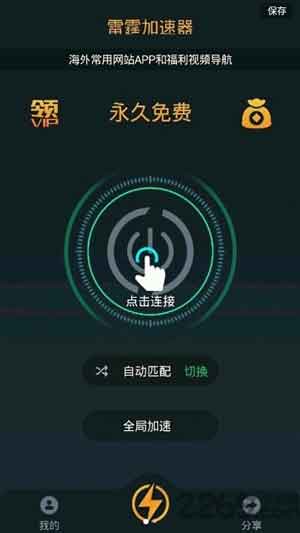 双重防护加速神器，加速器VPN，守护网络安全与传输速度