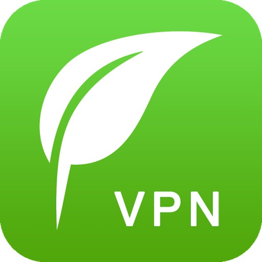 揭秘绿叶VPN，网络加速工具的神秘面纱