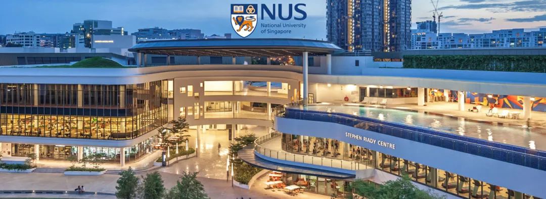 新加坡国立大学NUS VPN使用攻略，轻松畅游校园内外网络世界,nus vpn,第1张