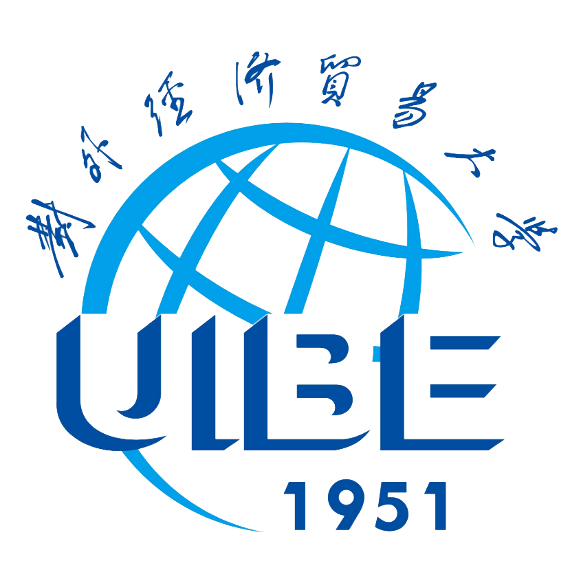 UIBE VPN，开启学子国际学术之旅的桥梁