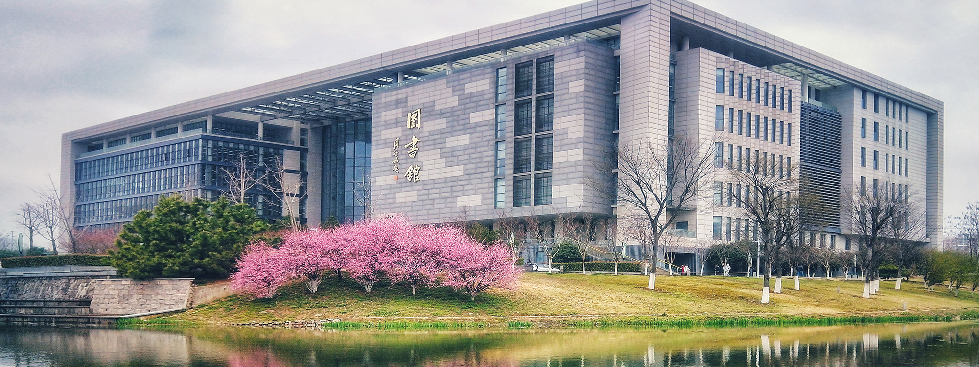 江苏大学图书馆VPN赋能学术研究，构建高效学术服务新平台,在信息化浪潮的推动下，网络资源在学术研究中的重要性日益彰显，为满足广大师生日益增长的学术需求，江苏大学图书馆积极探索创新，成功推出了VPN服务，为广大师生搭建了一条便捷的学术资源访问桥梁，本文将深入剖析江苏大学图书馆VPN服务的特点和使用方法，旨在为读者提供有价值的参考。,江苏大学图书馆vpn,第1张