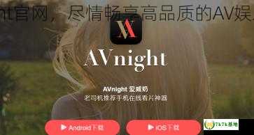 AVNight VPN挂载指南，轻松解锁全球资源体验