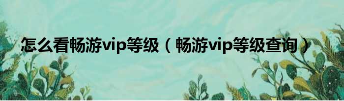 破解美服限制，VPN在游戏世界中的畅游攻略,随着互联网的广泛应用，游戏玩家对游戏体验的追求日益提高，跨地域的游戏体验优化成为了众多玩家的追求，通过使用VPN来畅玩美服游戏，已经成为了许多玩家的明智选择，本文将深入解析VPN在游戏中的应用技巧，助您轻松享受美服游戏带来的极致体验。,vpn玩美服,第1张