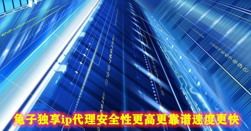 独享IP VPN，开启安全高效网络新纪元,随着互联网的广泛应用，人们对网络服务的需求日益增长，为了迎合这一趋势，众多互联网企业竞相研发推出各类网络产品，VPN（虚拟专用网络）与独享IP成为当前网络用户关注的焦点，本文将为您深入解析VPN独享IP的优势，以及其在保障网络安全和提升网络体验方面的广泛应用。,vpn 独享ip,第1张