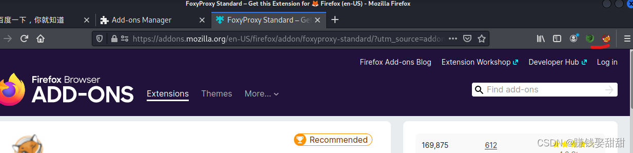 Firefox VPN插件，解锁网络自由，保障隐私安全,在当下信息爆炸的时代，网络安全问题愈发凸显，成为了公众关注的焦点，Firefox VPN插件，作为一款免费且高效的浏览器插件，为广大网民带来了安全、便捷的网络浏览体验，本文将为您全面解析Firefox VPN插件的功能、特色及其使用技巧。,firefox vpn 插件,第1张