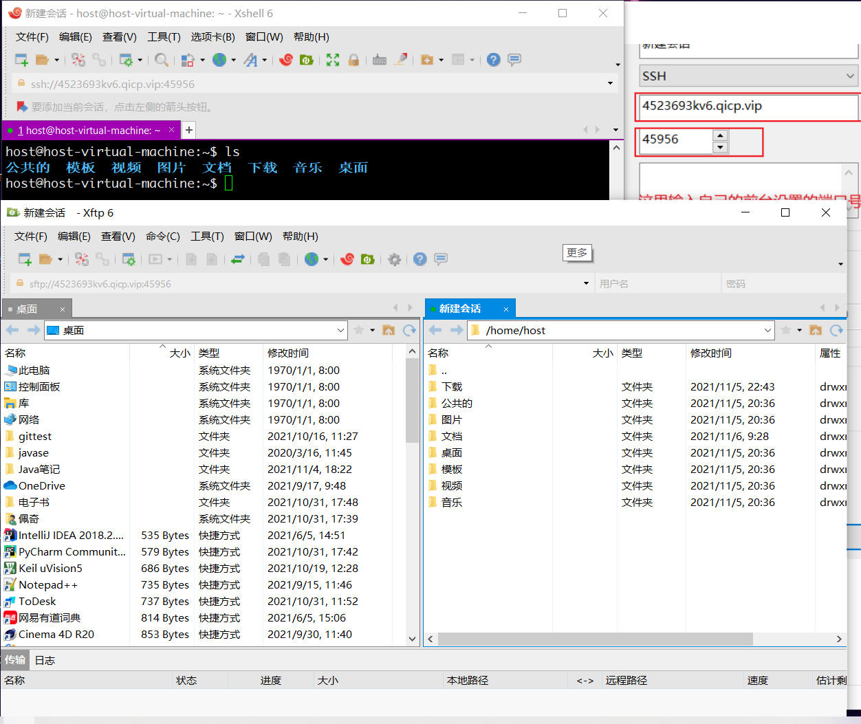 Linux系统下VPN内网访问实操攻略,linux vpn 访问内网,vpn,第1张