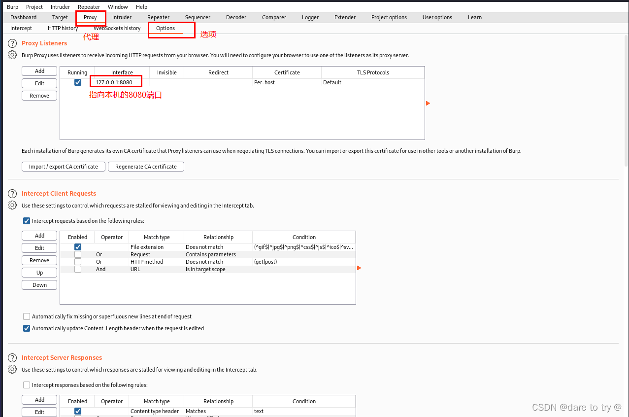 VPN与Burp Suite协同，揭秘网络安全与漏洞检测的强化策略,vpn burpsuite,了解VPN,第1张