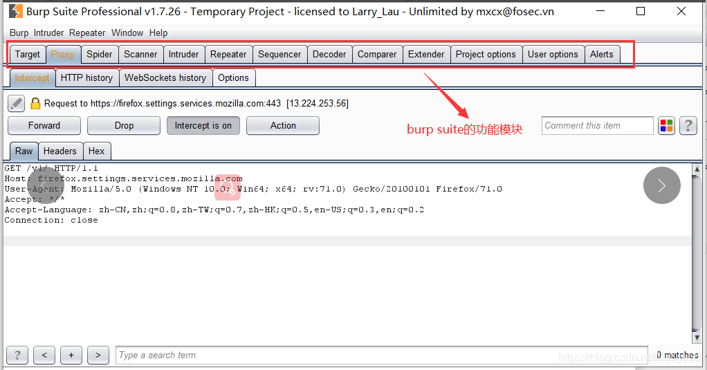 VPN与Burp Suite联合应用，网络安全与渗透测试的黄金搭档,vpn burpsuite,第1张