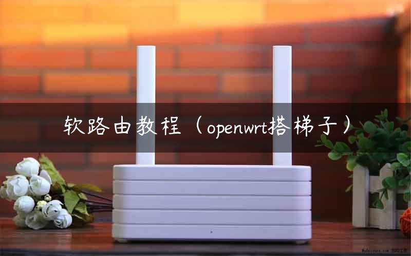 构建家庭安全便捷网络，OpenWrt VPN路由全攻略,随着互联网的广泛应用，网络安全问题愈发受到关注，众多家庭用户为了维护网络安全，纷纷选择使用VPN服务，面对市场上琳琅满目的VPN产品，如何挑选一款适合自己的产品，成为许多用户头疼的难题，借助OpenWrt VPN路由器，我们能够轻松构建一个既安全又便捷的家庭网络环境。,openwrt vpn路由,共享VPN,第1张