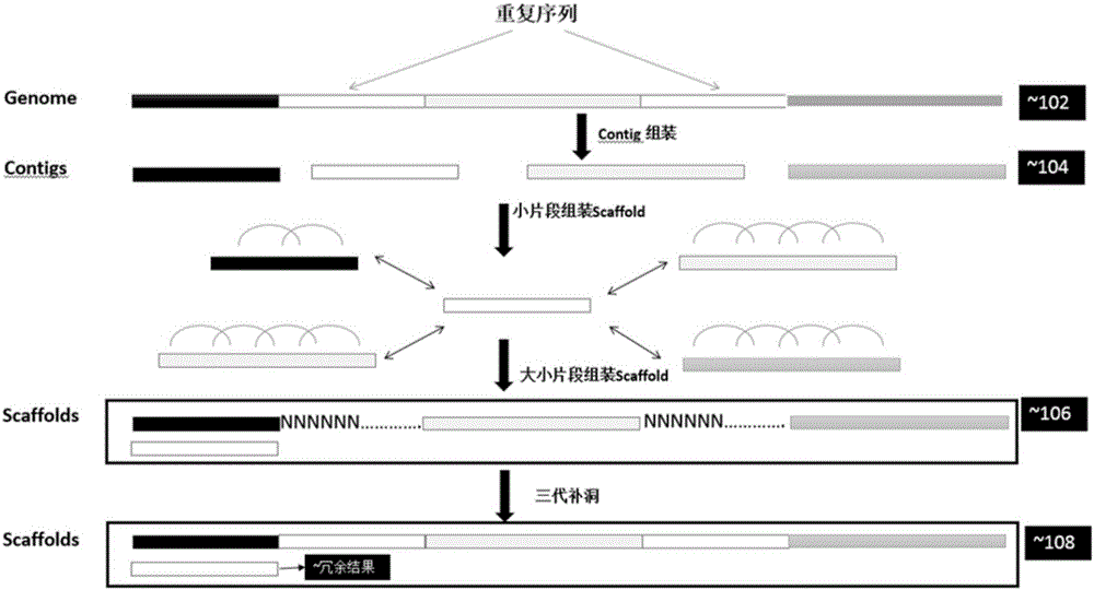 下一代防火墙与VPN技术融合应用深度解析，SSG与SRX技术揭秘,随着互联网技术的迅猛进步，网络安全问题日益凸显，对企业、组织及个人构成了重大挑战，在此背景下，下一代防火墙（NGFW）与VPN技术应运而生，为网络安全提供了坚实的保障，本文将深入探讨Juniper Networks公司推出的两款下一代防火墙产品——SSG（Secure Gateway）与SRX（Secure Router），并分析它们在VPN技术中的运用。,ssg srx vpn,SSL VPN,IPsec VPN,第1张