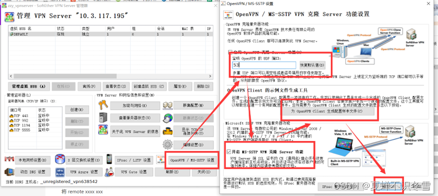 DDNS VPN端口配置与性能优化指南,随着互联网的广泛渗透，众多用户纷纷采用VPN技术来加强网络安全防护，在使用VPN的过程中，端口冲突和连接不稳定等问题时常困扰着用户，DDNS VPN端口配置是解决这些问题的关键环节，本文将深入解析DDNS VPN端口配置及优化技巧，助您轻松应对VPN使用中的各种挑战。,ddns vpn端口,第1张