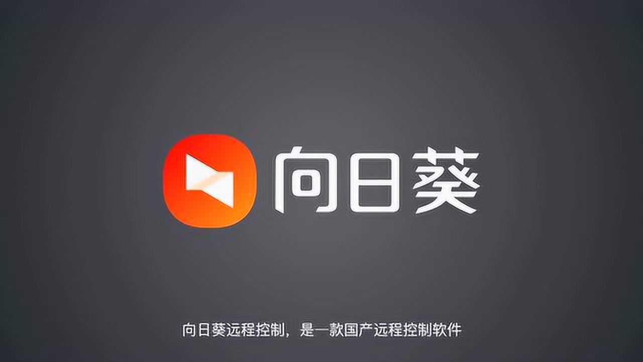 向日葵VPN助力远程办公，高效远程控制新篇章,向日葵远程控制软件 vpn,第1张