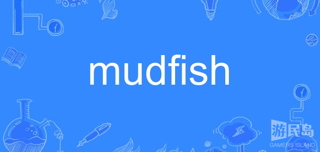 Mudfish VPN，守护您的网络安全之旅