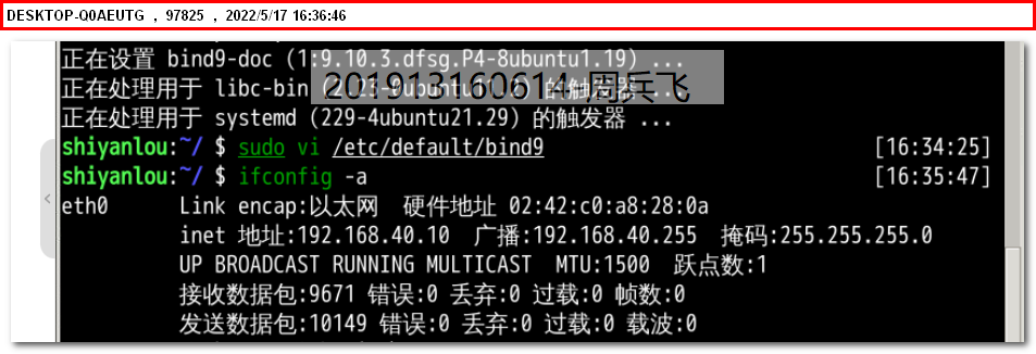 Linux系统VPN配置及DNS优化技巧详解