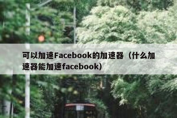 轻松突破地域限制，Facebook VPN设置指南